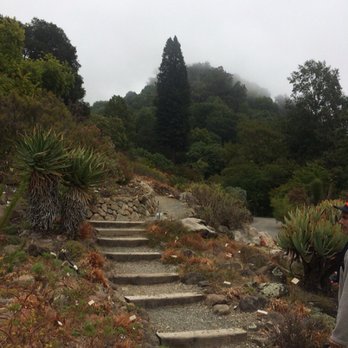 UC Botanical Garden at Berkeley - And she's buuyyy'ing a Stairway to Heaven,, - Botanical Gardens Near Me - Berkeley, California UC Botanical Garden at Berkeley - And she's buuyyy'ing a Stairway to Heaven,, - Botanical Gardens Near Me - Berkeley, California