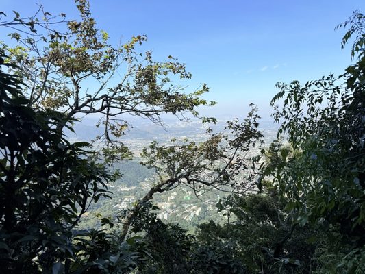 Kadoorie Farm and Botanic Garden by null