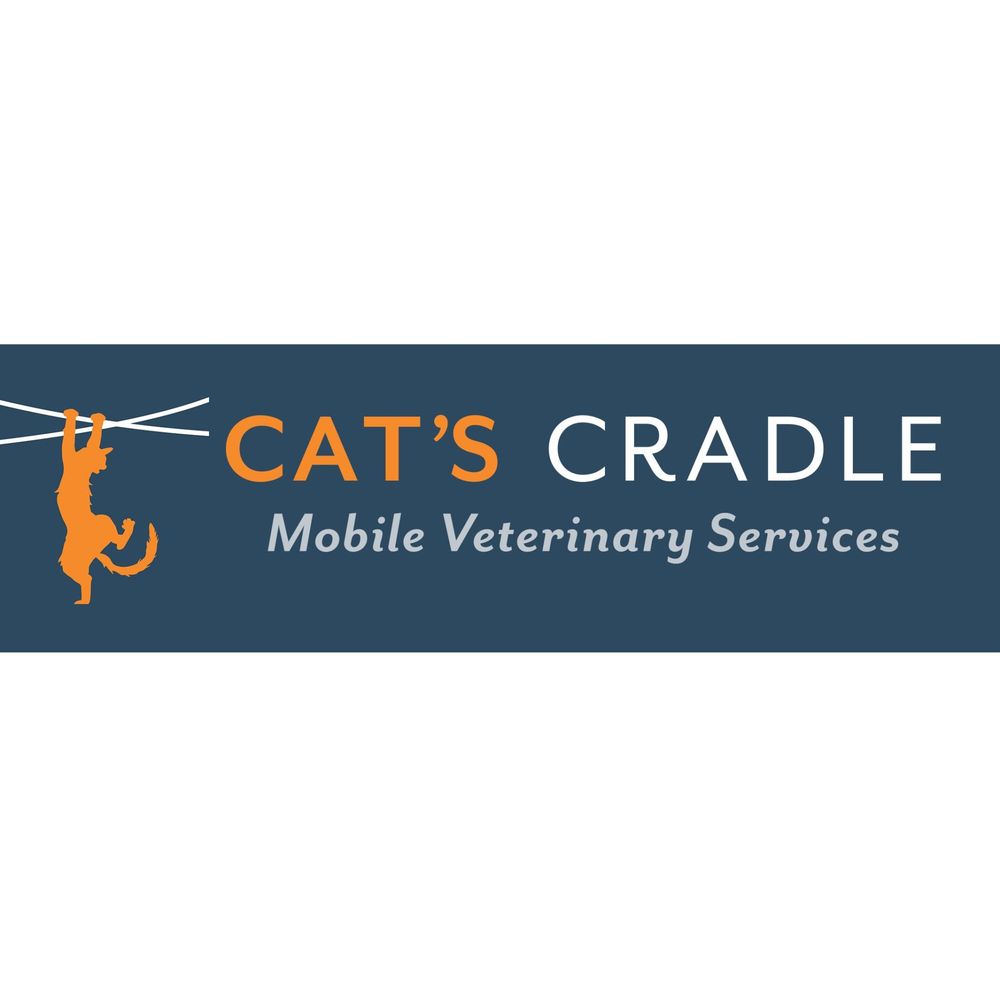 CAT’S CRADLE Belgrade, Montana Veterinarians Phone Number Yelp