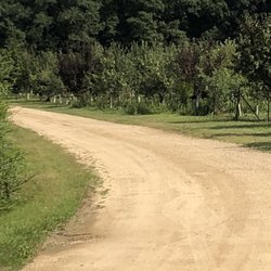 Sam Kedem Nursery & Garden - Right down the road