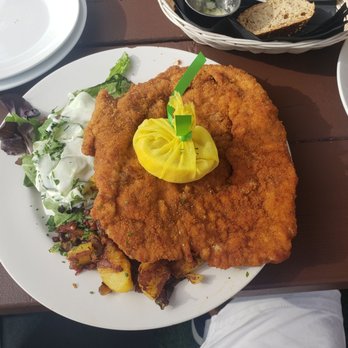 Siegfried's Restaurant - German schnitzel. - German Near Me - Sarasota, Florida Siegfried's Restaurant - German schnitzel. - German Near Me - Sarasota, Florida