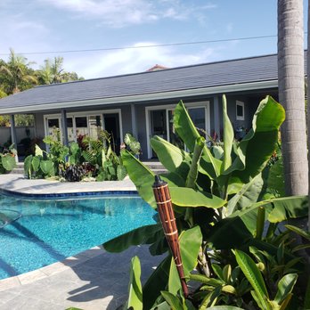 Los Cabos Pools - a pool surrounded by palm trees - Landscaping Near Me Los Cabos Pools - a pool surrounded by palm trees - Landscaping Near Me