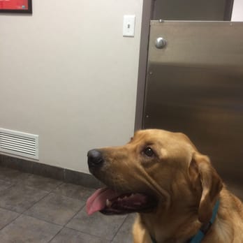 Kenwood Pet Clinic - Veterinarians Near Me - Minneapolis, Minnesota Kenwood Pet Clinic - Veterinarians Near Me - Minneapolis, Minnesota