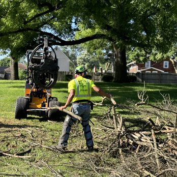 Buckley's Best Tree Care - Clean up - Tree Services Near Me Buckley's Best Tree Care - Clean up - Tree Services Near Me