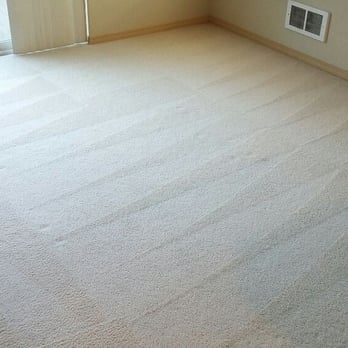Blue Paws Carpet Cleaning - Office Cleaning Near Me - Marysville, Washington Blue Paws Carpet Cleaning - Office Cleaning Near Me - Marysville, Washington