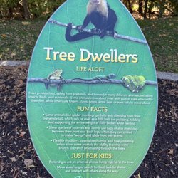 Cedar Lane Park - Tree dwellers