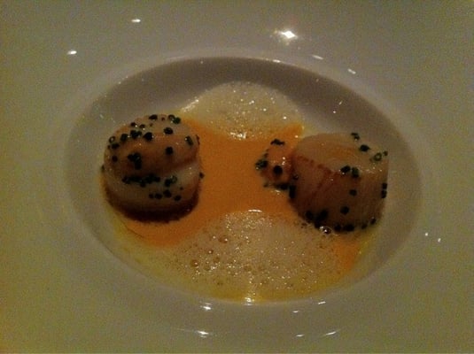 ADDISON BY WILLIAM BRADLEY by null ADDISON BY WILLIAM BRADLEY by null