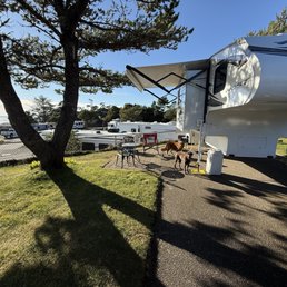 Super trashy truck camper. Super trashy truck camper.