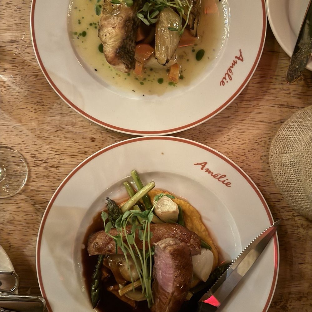 Amelie - Rockfish dinner and Long Island Duck Breast. - Wine Bars Near Me - Washington, DC, District of Columbia Amelie - Rockfish dinner and Long Island Duck Breast. - Wine Bars Near Me - Washington, DC, District of Columbia