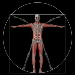 GP Medical Equipment Sales and Service