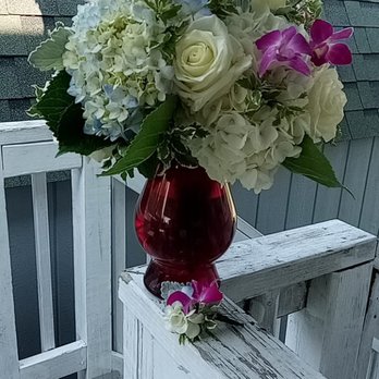 Dino Designs of Baltimore - Florists Near Me - Baltimore, Maryland Dino Designs of Baltimore - Florists Near Me - Baltimore, Maryland