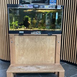 Southwest Community Center & Pool - Full view of fish tank