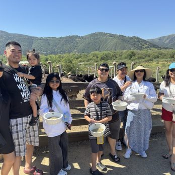 Ostrichland USA - Attraction Farms Near Me - Solvang, California Ostrichland USA - Attraction Farms Near Me - Solvang, California
