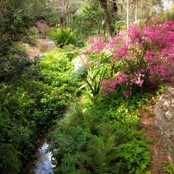 H. H. Dickson Azalea Park - Parks Near Me - Orlando, Florida