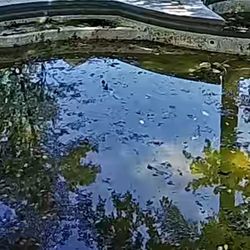 J's Pools & Spas - pool condition