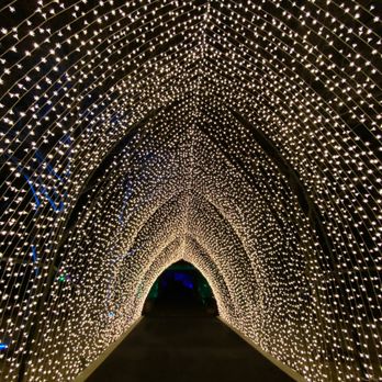 Chicago Botanic Garden - The iconic Cathedral light exhibit. - Botanical Gardens Near Me - Glencoe, Illinois