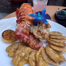 Lobster Lobster