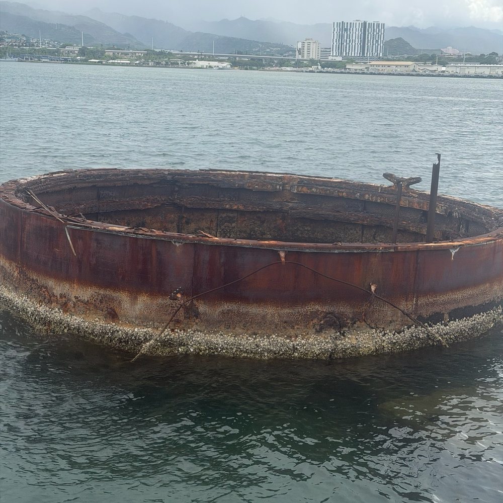 Aloha Hawaii Tours - Bus Tours Near Me - Honolulu, Hawaii Aloha Hawaii Tours - Bus Tours Near Me - Honolulu, Hawaii