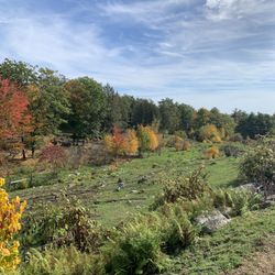 Paradise Farm