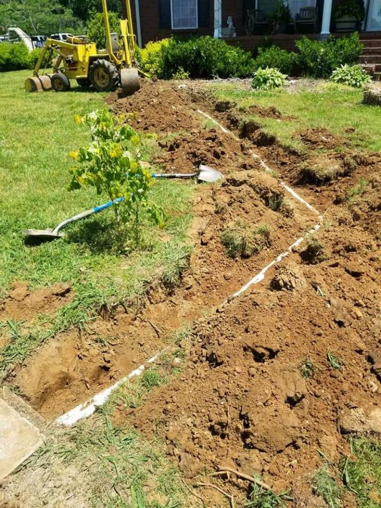 Slide of Family's Plumbing