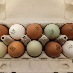 REWE - Different breeds of chickens lay colorful eggs... :))) From our region, but very expensive !