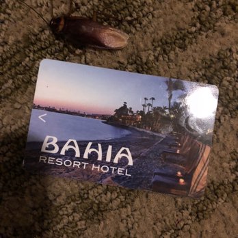 Bahia Resort Hotel - Trying to give an ideal of the size of this cockroach in my room! No exaggeration!! - San Diego, CA