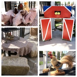 Creator's Corner Preschool