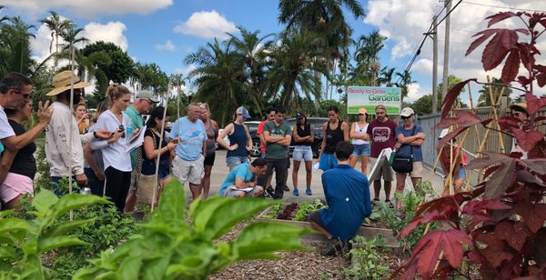 Ready-to-Grow Gardens by null