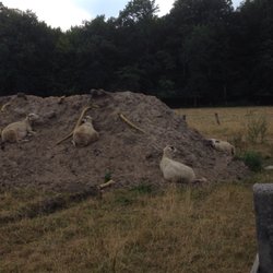 Gaststätte Beim Waldbauern