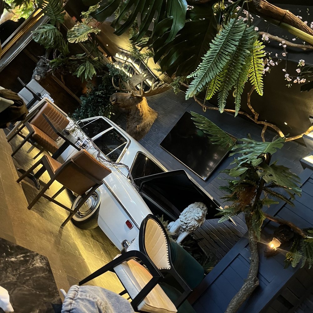 Parkerz - Mediterranean Near Me - Houston, Texas Parkerz - Mediterranean Near Me - Houston, Texas