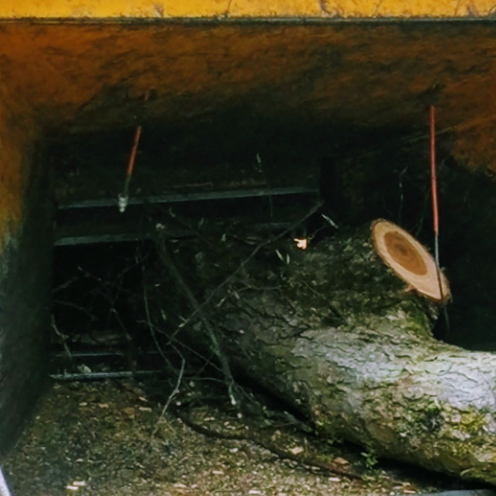 K.L.M. Tree Service & Landscaping - a tree being removed from the back of a truck - Landscaping Near Me - Piscataway, New Jersey
