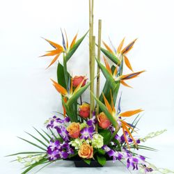Bell Flowers