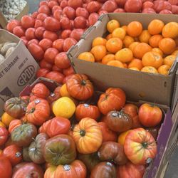 Nurel's Farmers' Market - Beautiful tomatoes