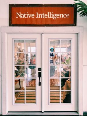 Native Intelligence by null