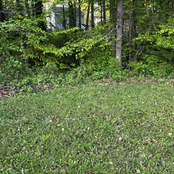 Denver Grading and Land Clearing - Excavation Services Near Me Denver Grading and Land Clearing - Excavation Services Near Me