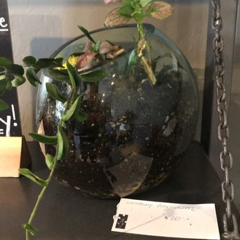 Flower Bar - Florists Near Me - Scottsdale, Arizona