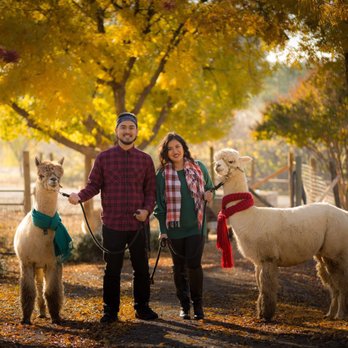 Menagerie Hill Ranch - Tours Near Me - Vacaville, California Menagerie Hill Ranch - Tours Near Me - Vacaville, California