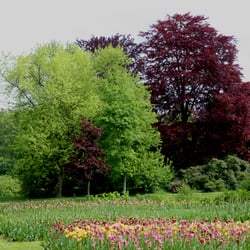 Bürgerpark