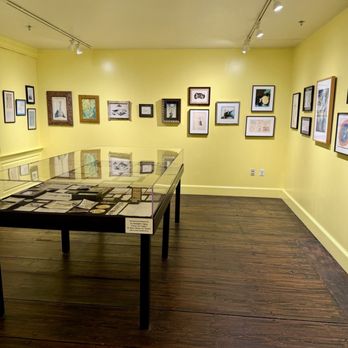 Springfield Museums - An upstairs gallery of the Dr. Seuss Museum - Museums Near Me - Springfield, Massachusetts