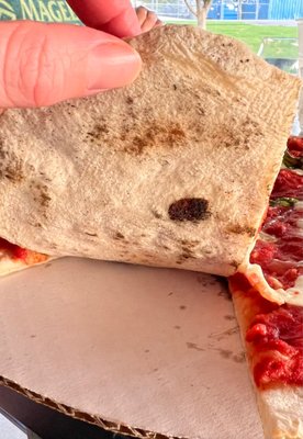 Earth and Stone Wood Fired Pizza by null