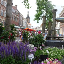 De Wijnhuistoren - Wijnhuistoren in de verte