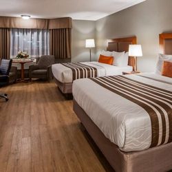 Best Western Plus Ottawa City Centre - 2 Queen Bed Room