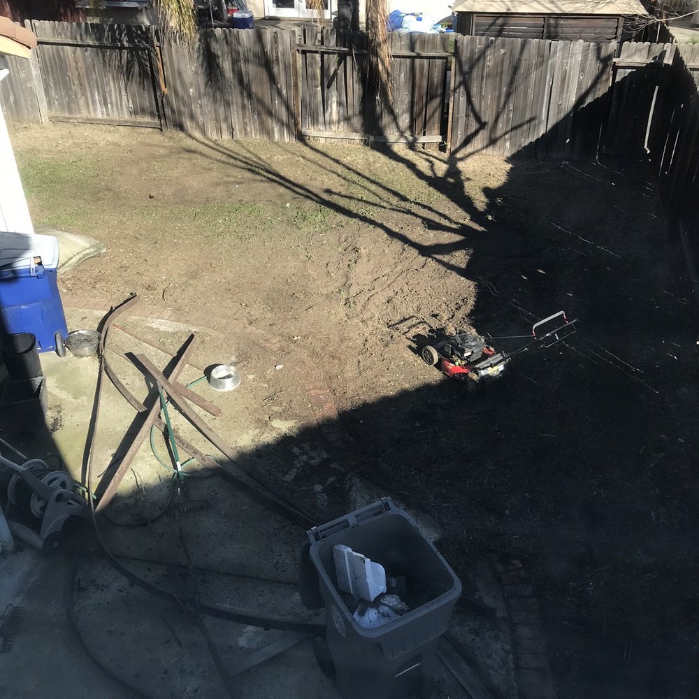 Harry's Landscaping and Maintenance - My horrendous backyard - I'm so embarrassed!! - Landscaping Near Me - Sacramento, California