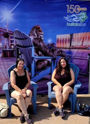 The Buffalo Zoo by null