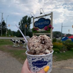 Kawartha Dairy - Moose tracks ice cream with street sign