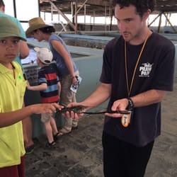 Huka Prawn Park - Hands in learning tour