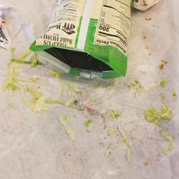 What's left of my tuna sandwich What's left of my tuna sandwich