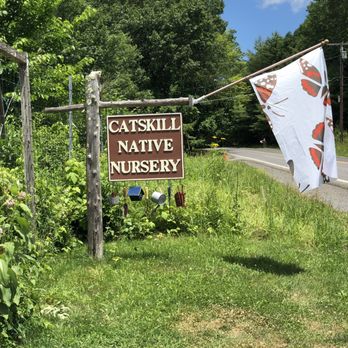 Catskill Native Nursery - Native Plant lovers drem destination. - Nurseries & Gardening Near Me - Kerhonkson, New York