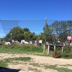 Paintball Planète Montpellier