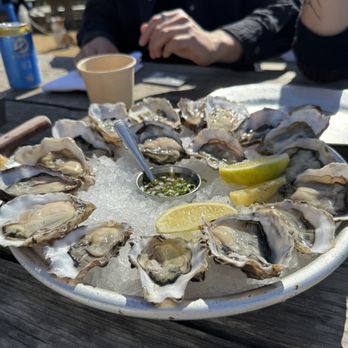 Hog Island Oyster - Seafood Near Me - Marshall, California Hog Island Oyster - Seafood Near Me - Marshall, California